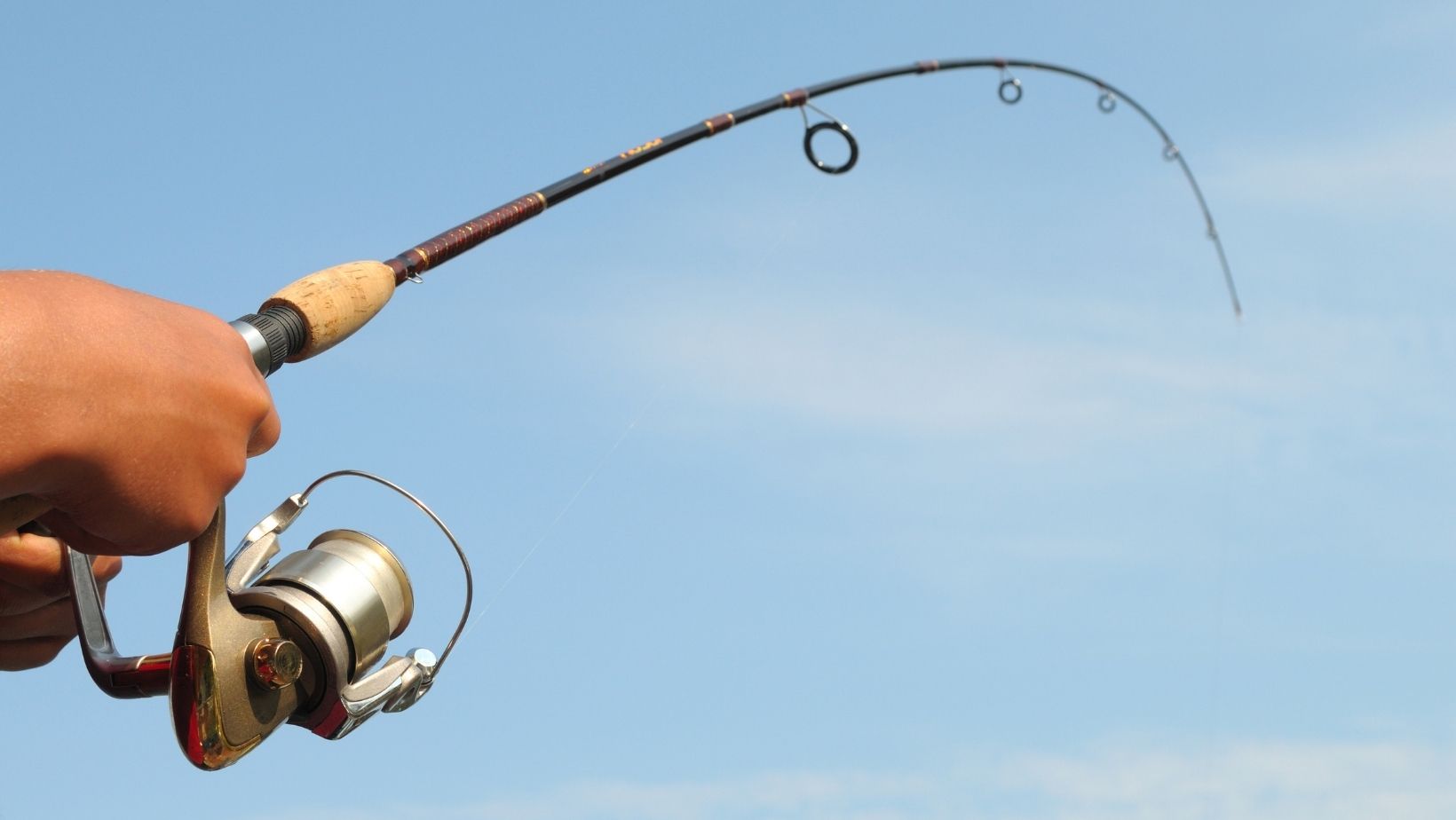 Choosing the Perfect Fishing Rod: Key Factors and Top Models Reviewed ...